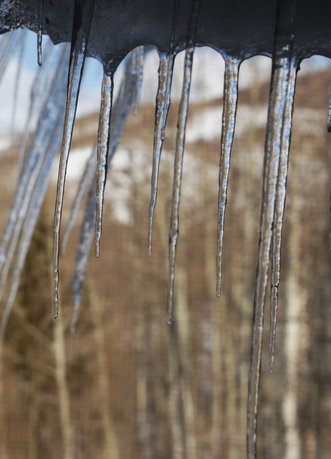 Adrian Brinkerhoff Peter Halstead 02