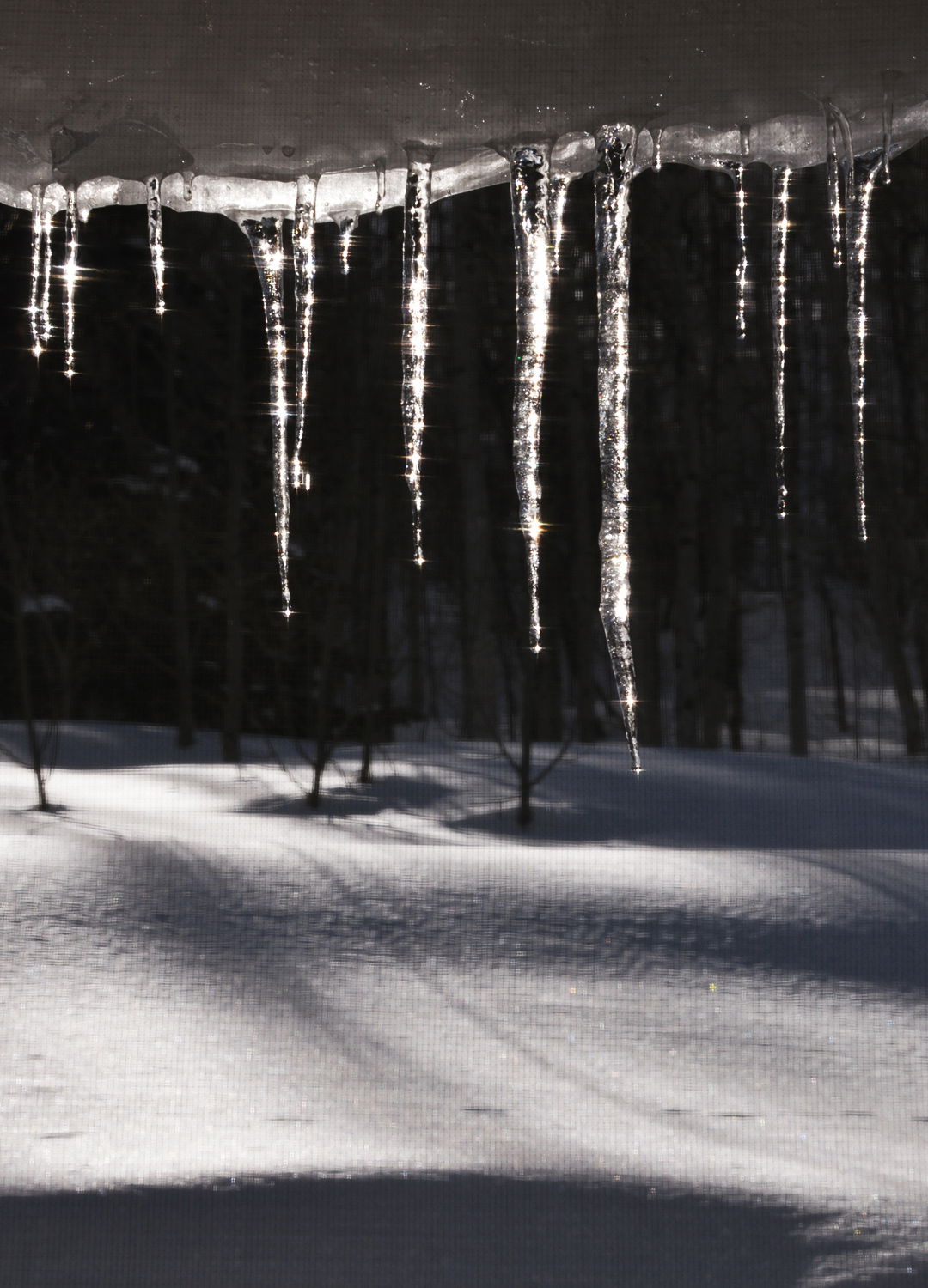 Adrian Brinkerhoff Peter Halstead 03