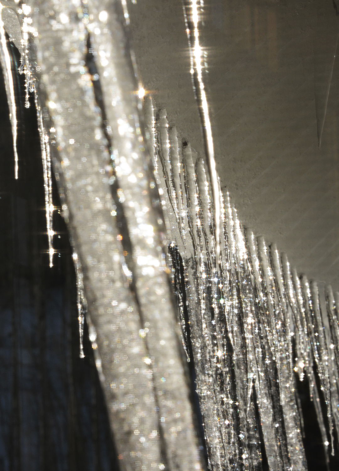 Adrian Brinkerhoff Peter Halstead 07