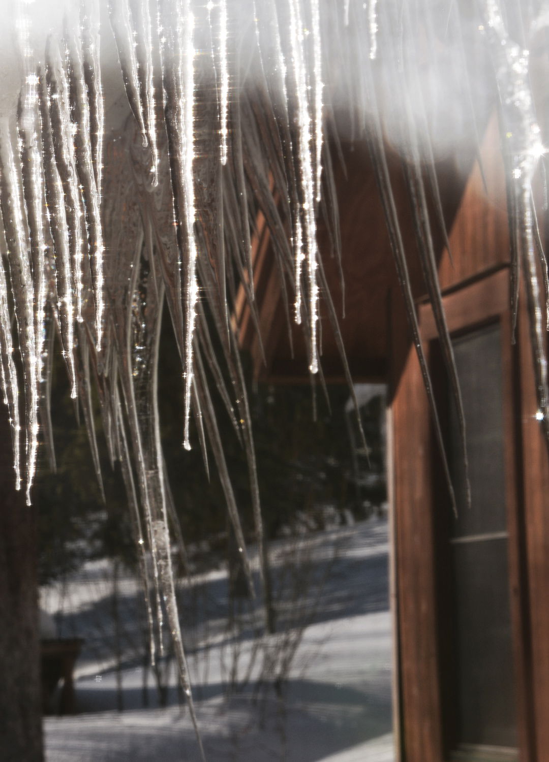 Adrian Brinkerhoff Peter Halstead 08