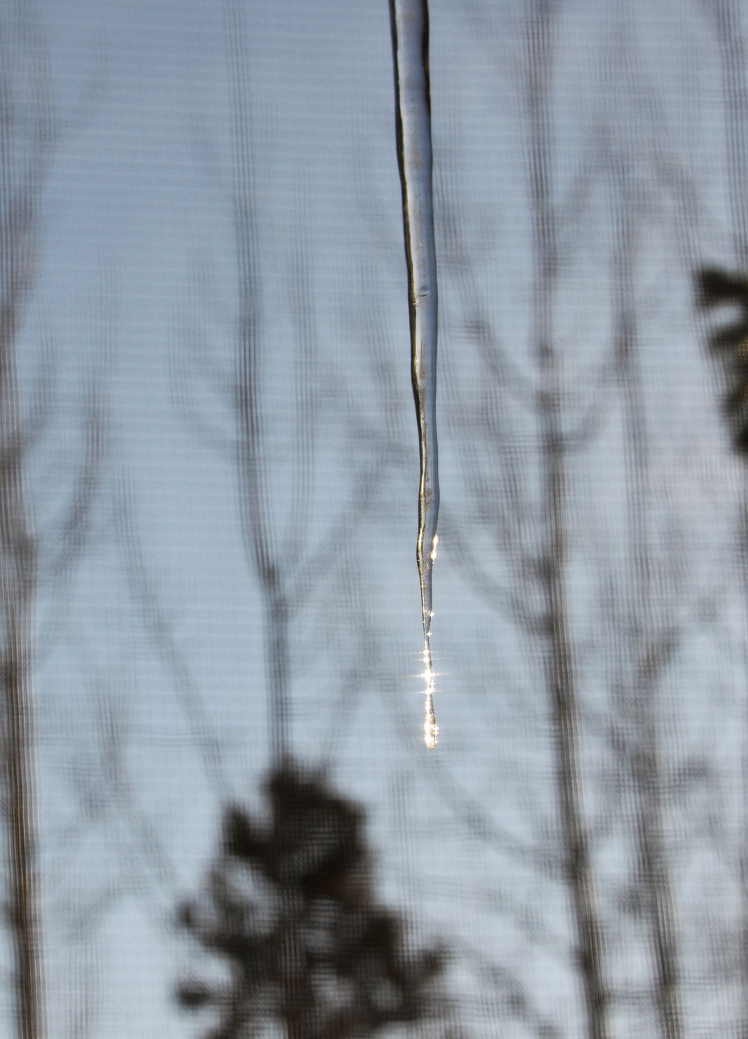 Adrian Brinkerhoff Peter Halstead 10