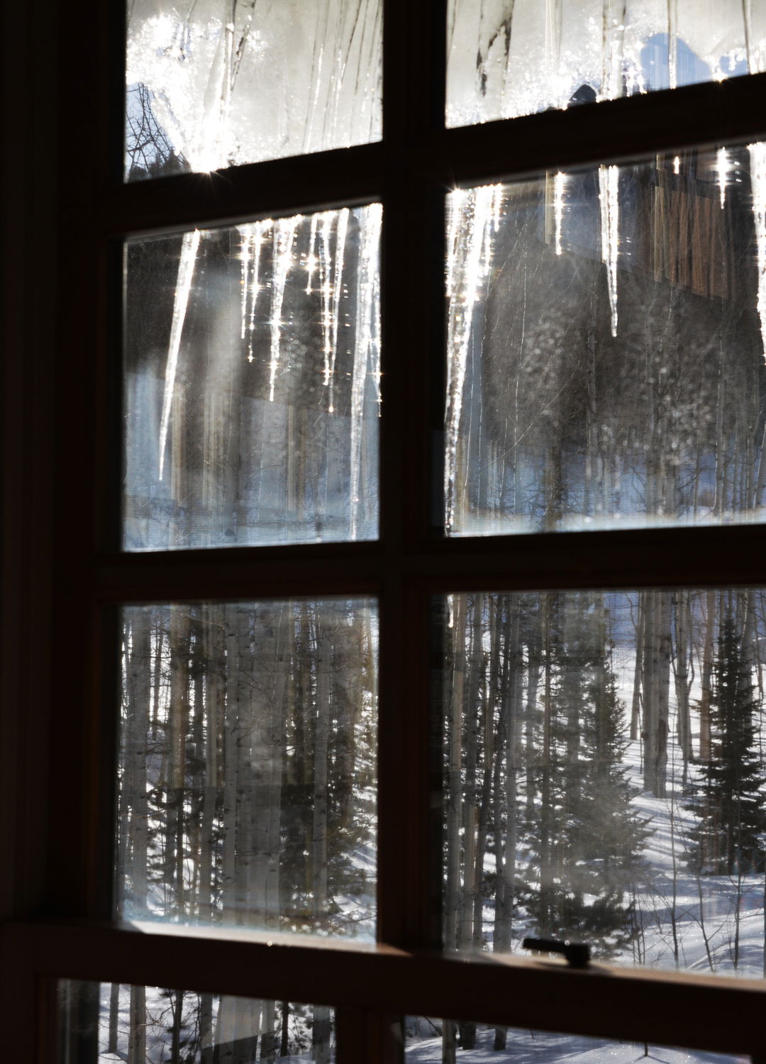 Adrian Brinkerhoff Peter Halstead 13