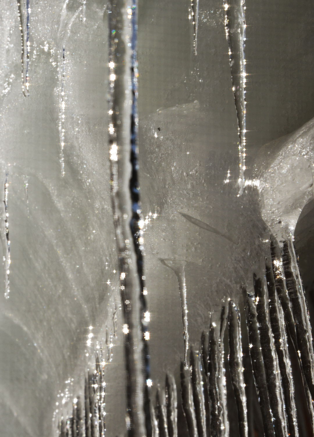 Adrian Brinkerhoff Peter Halstead 14