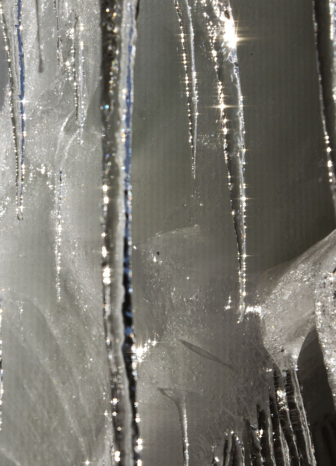 Adrian Brinkerhoff Peter Halstead 15