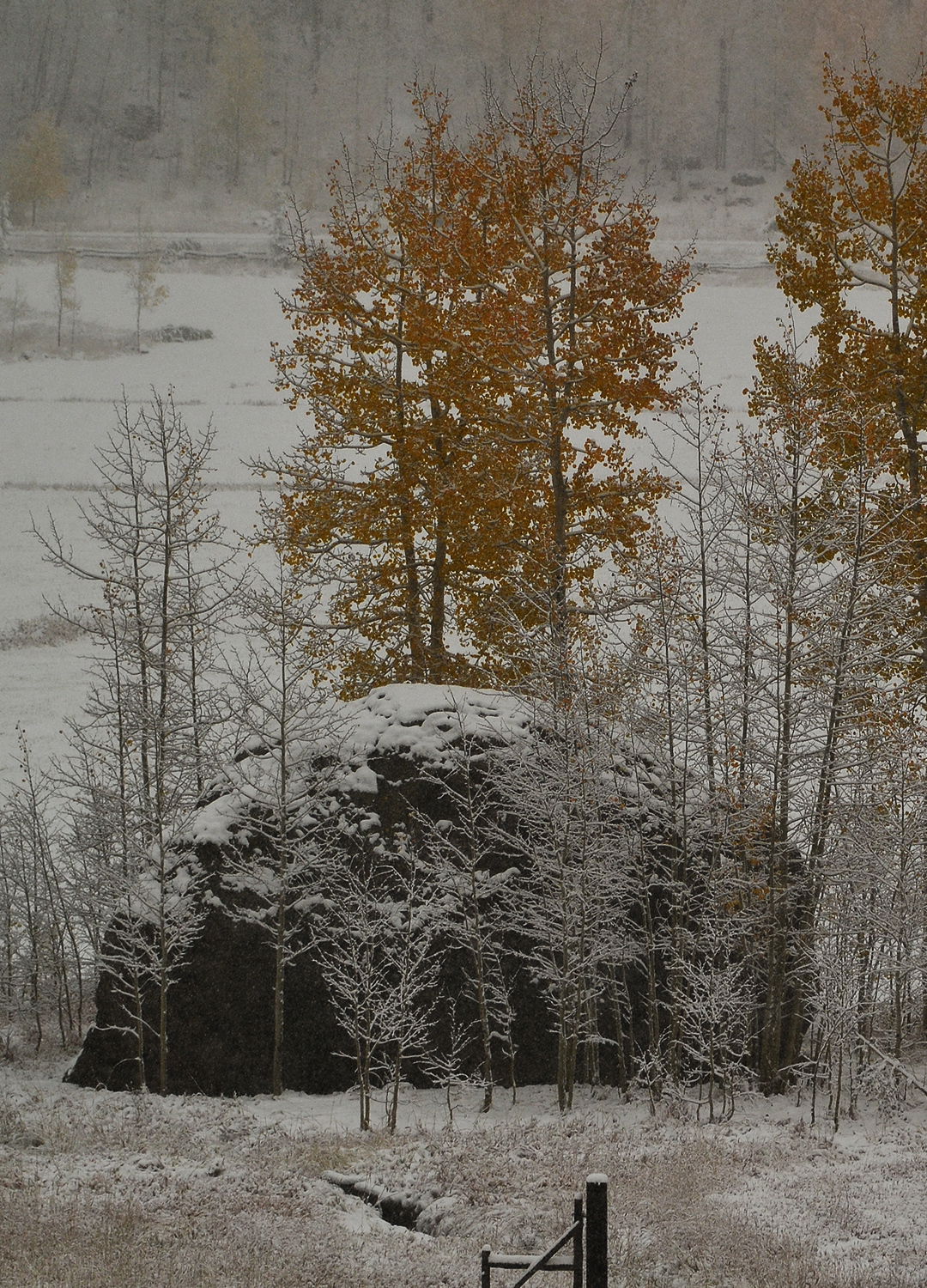 Adrian Brinkerhoff Peter Halstead 17