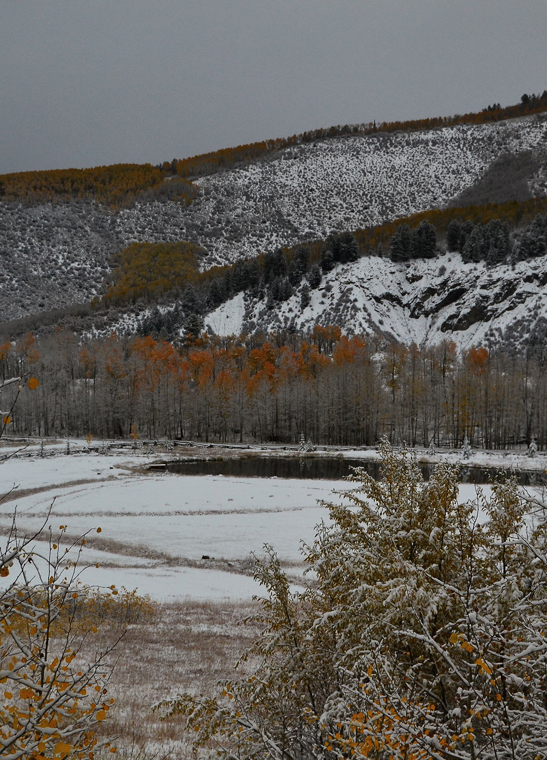 Adrian Brinkerhoff Peter Halstead 22