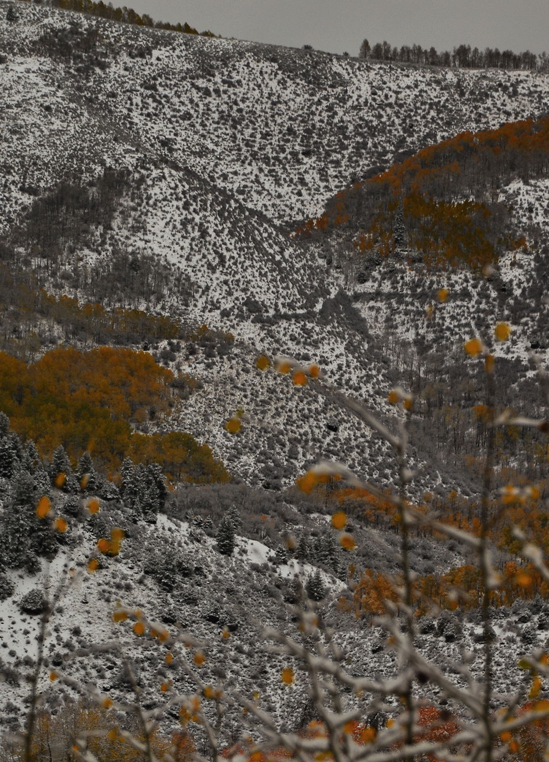 Adrian Brinkerhoff Peter Halstead 23