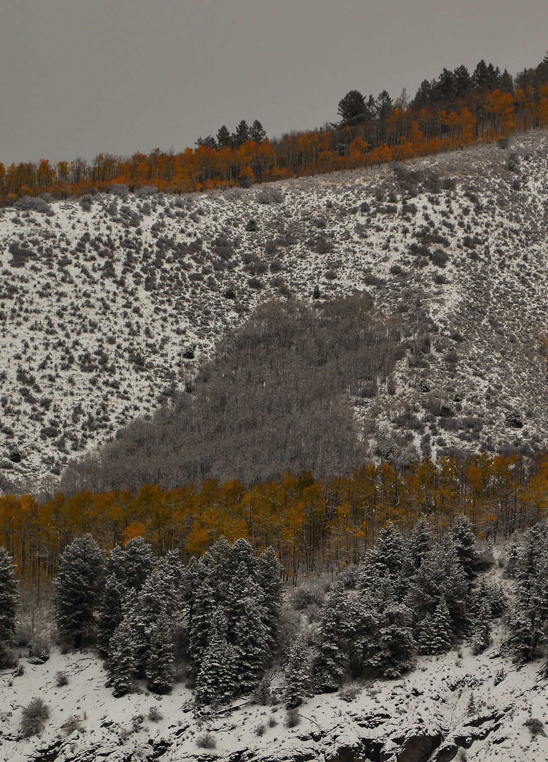 Adrian Brinkerhoff Peter Halstead 24