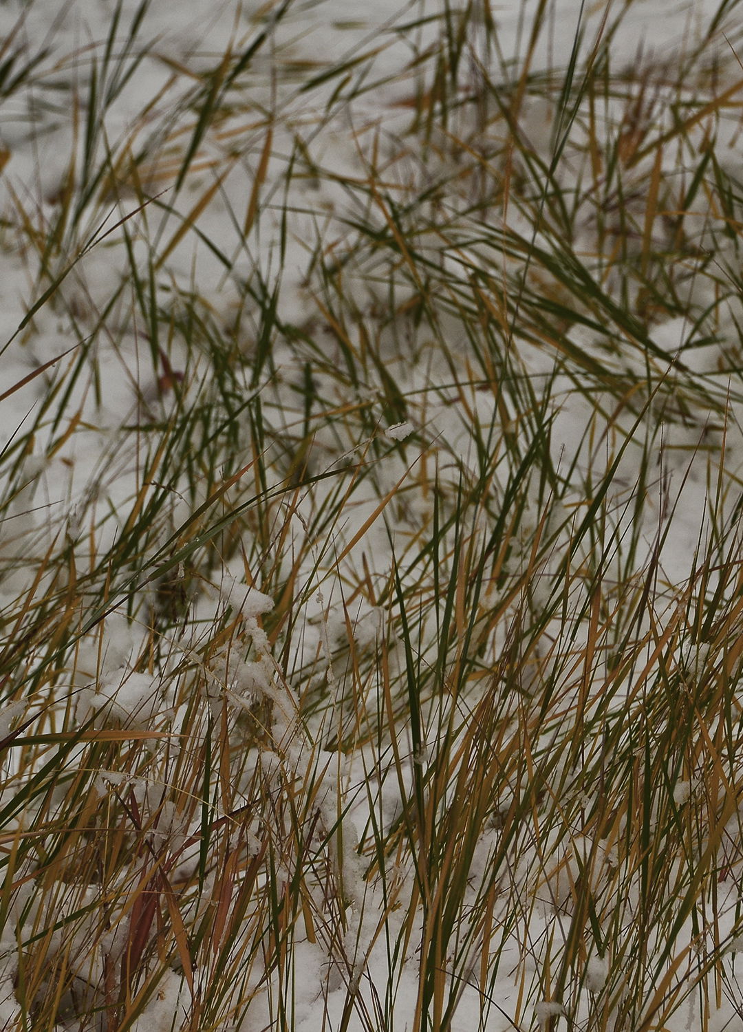 Adrian Brinkerhoff Peter Halstead 25