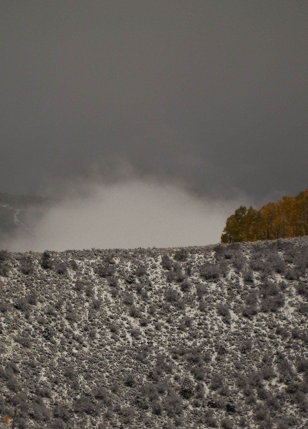 Adrian Brinkerhoff Peter Halstead 27