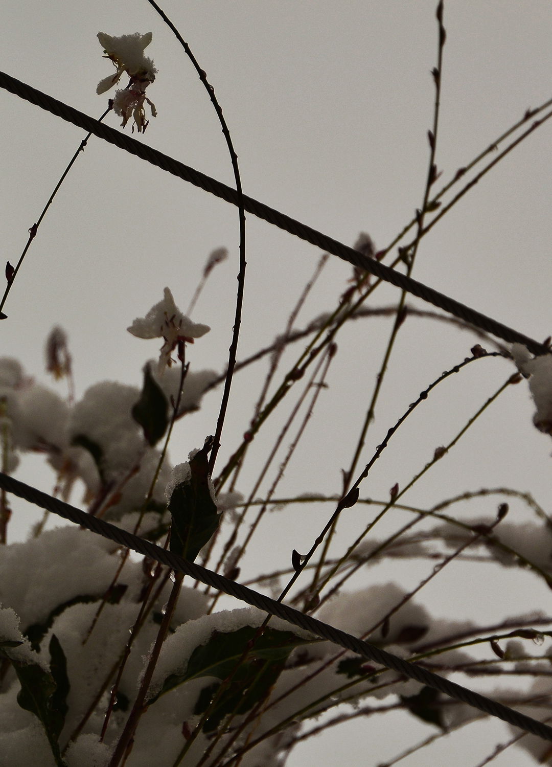 Adrian Brinkerhoff Peter Halstead 28