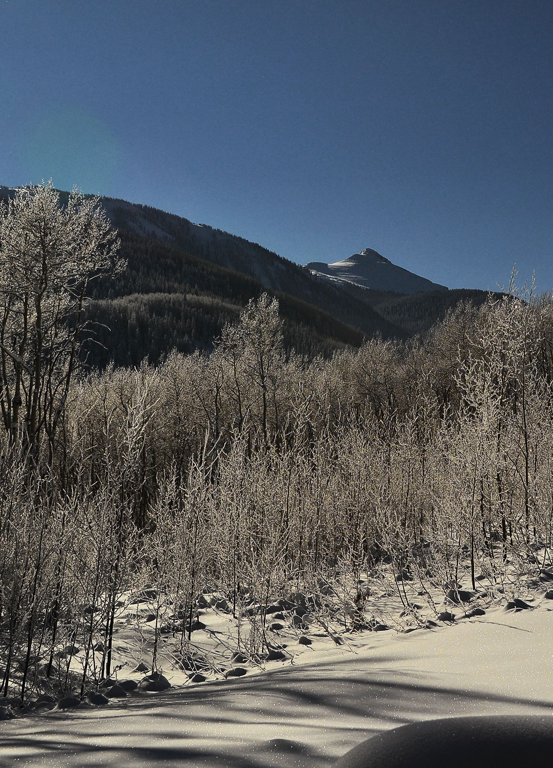 Adrian Brinkerhoff Peter Halstead 30