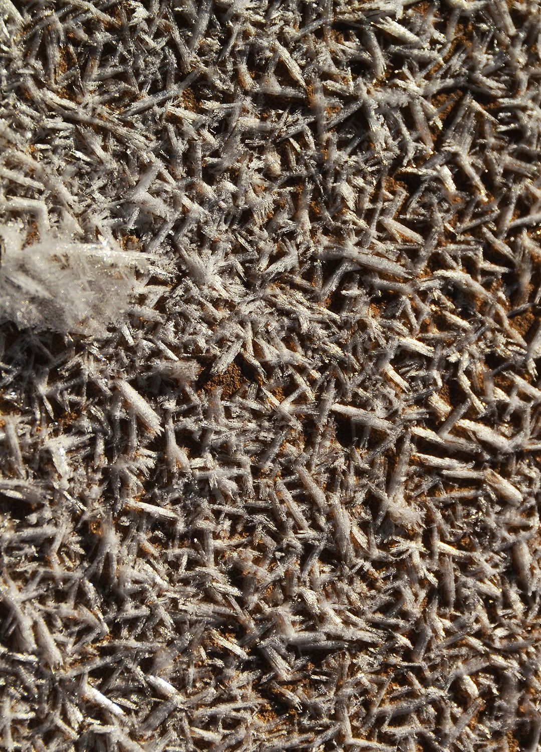 Adrian Brinkerhoff Peter Halstead 33