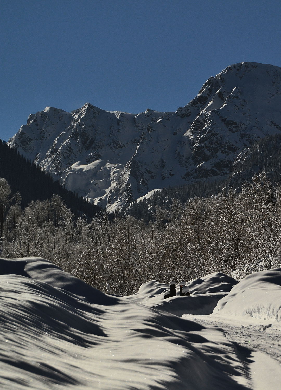 Adrian Brinkerhoff Peter Halstead 37