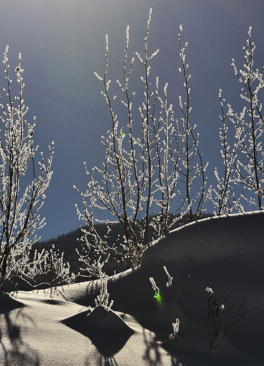 Adrian Brinkerhoff Peter Halstead 40