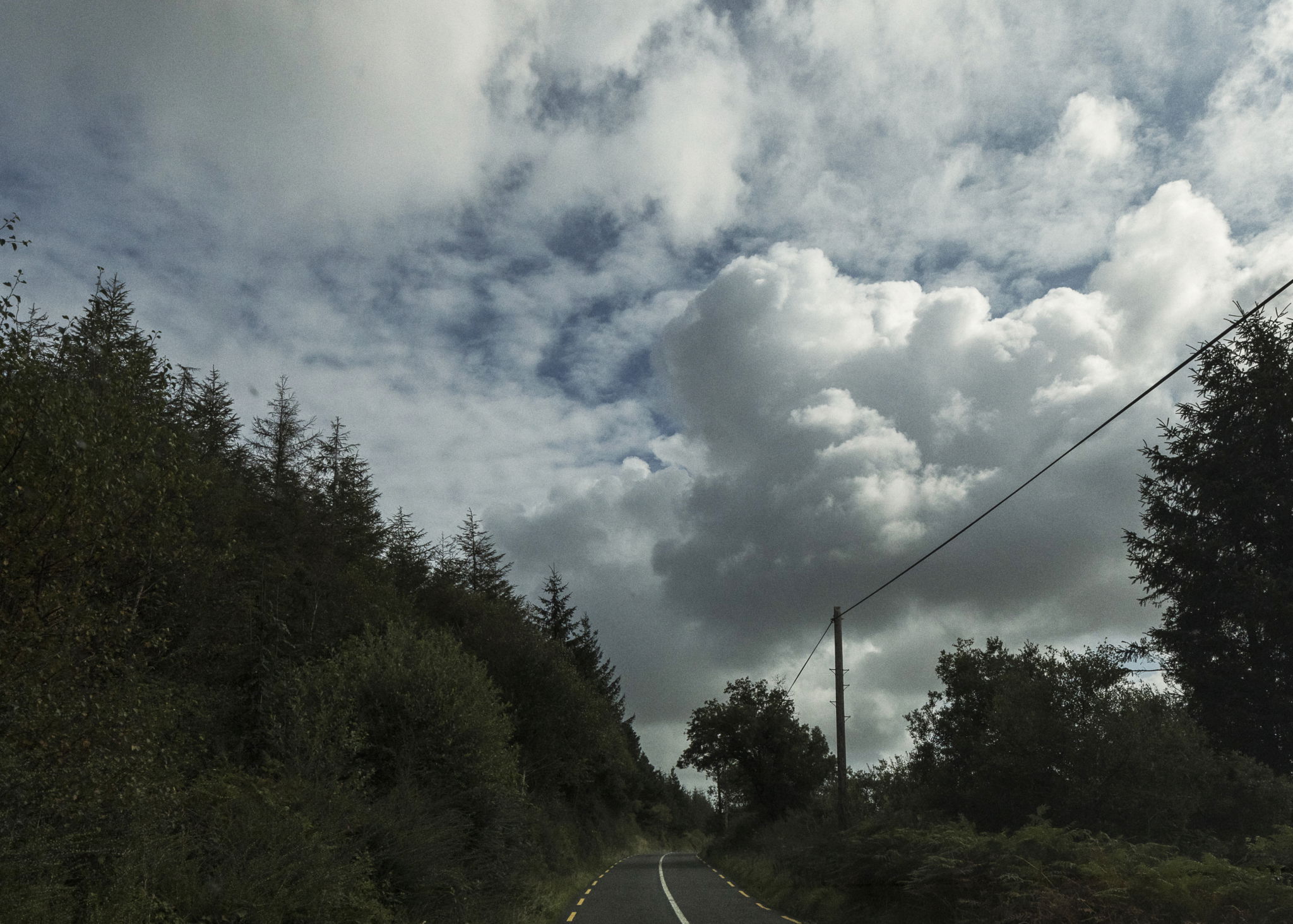 Galway County Council 2020 7254