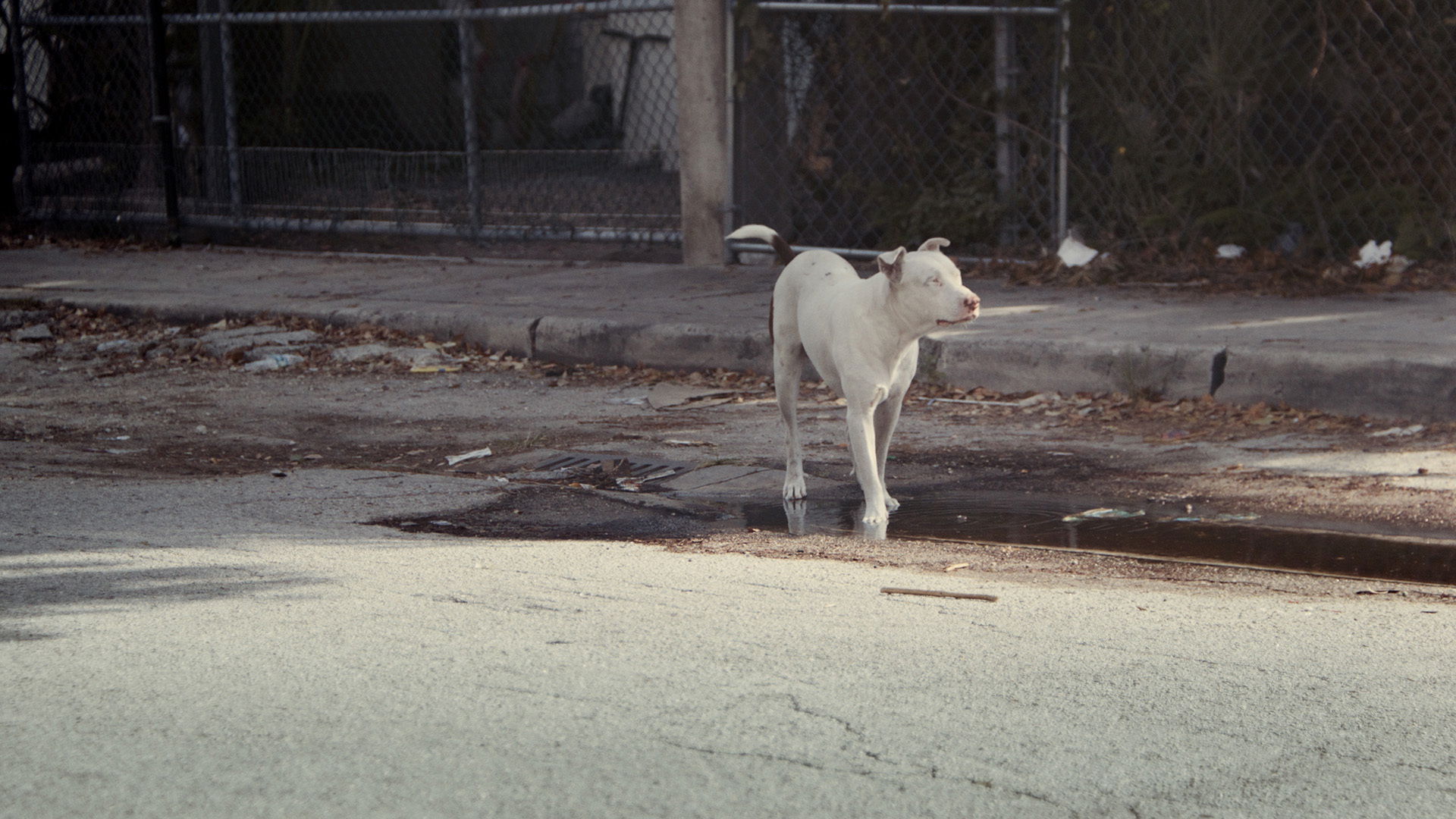 Oracle COLOR 00 00 08 00 0 5x