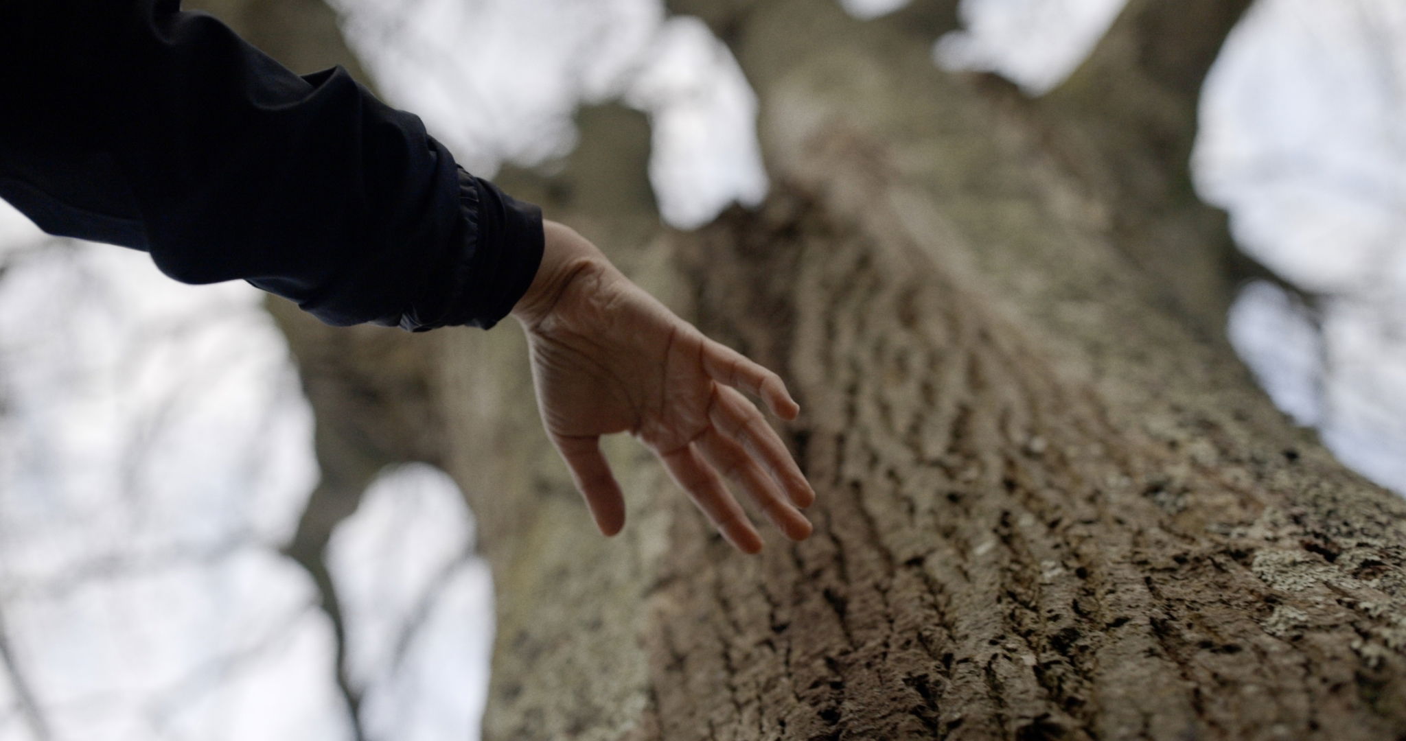 Anthony Vahni Capildeo 6