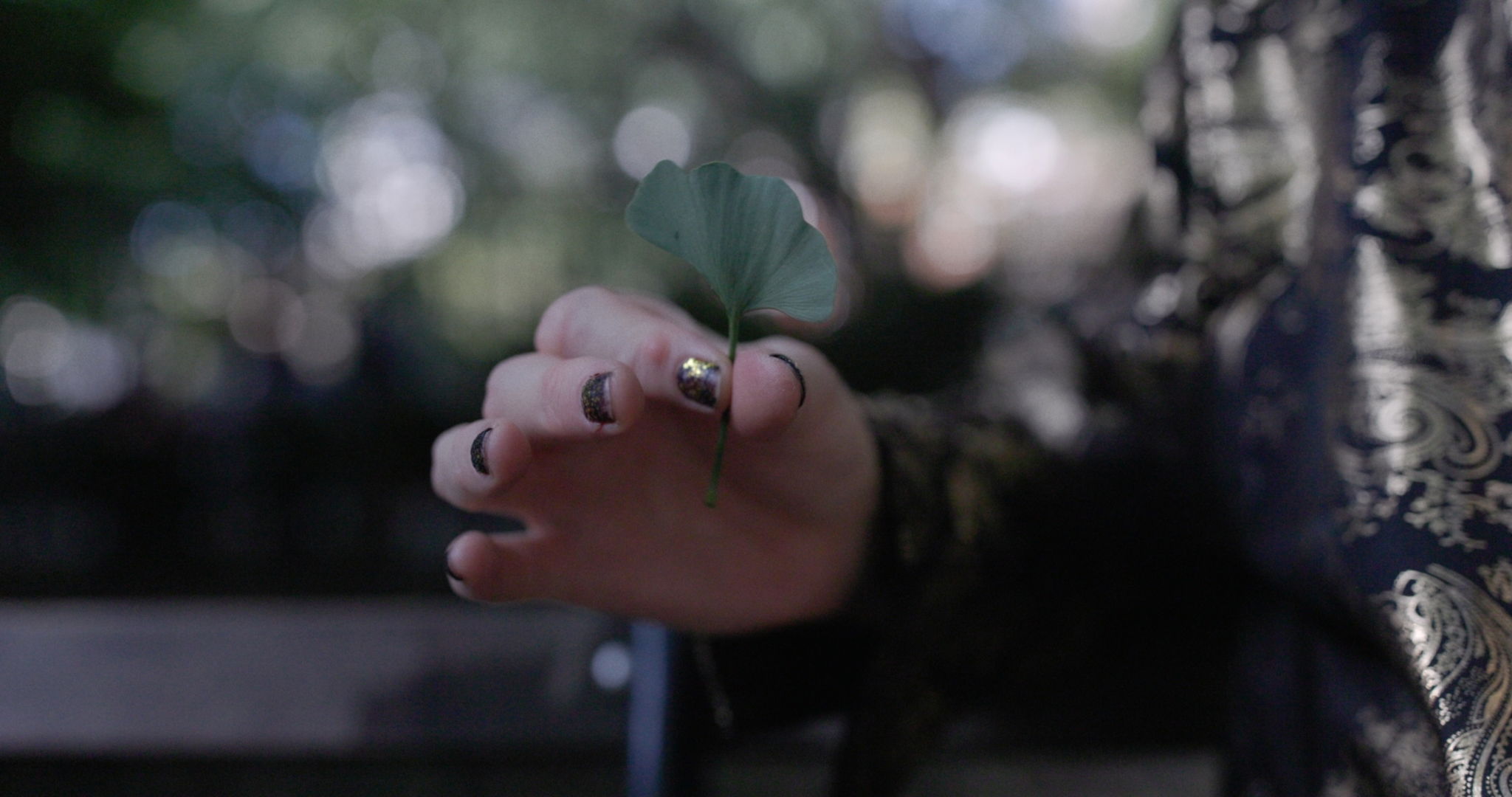 CA Conrad For Mac 15