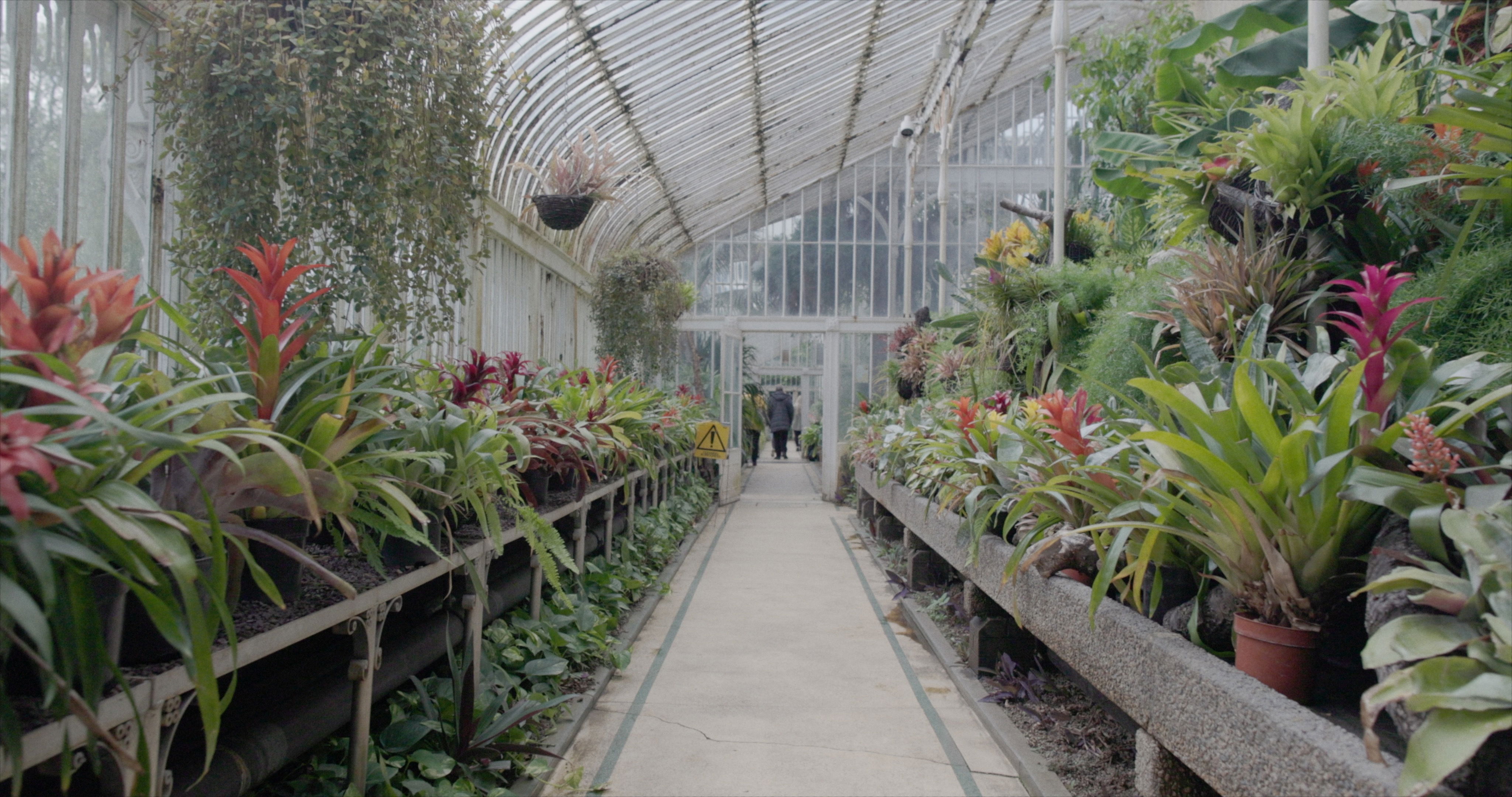 Emma Must Belfast Pastoral 2