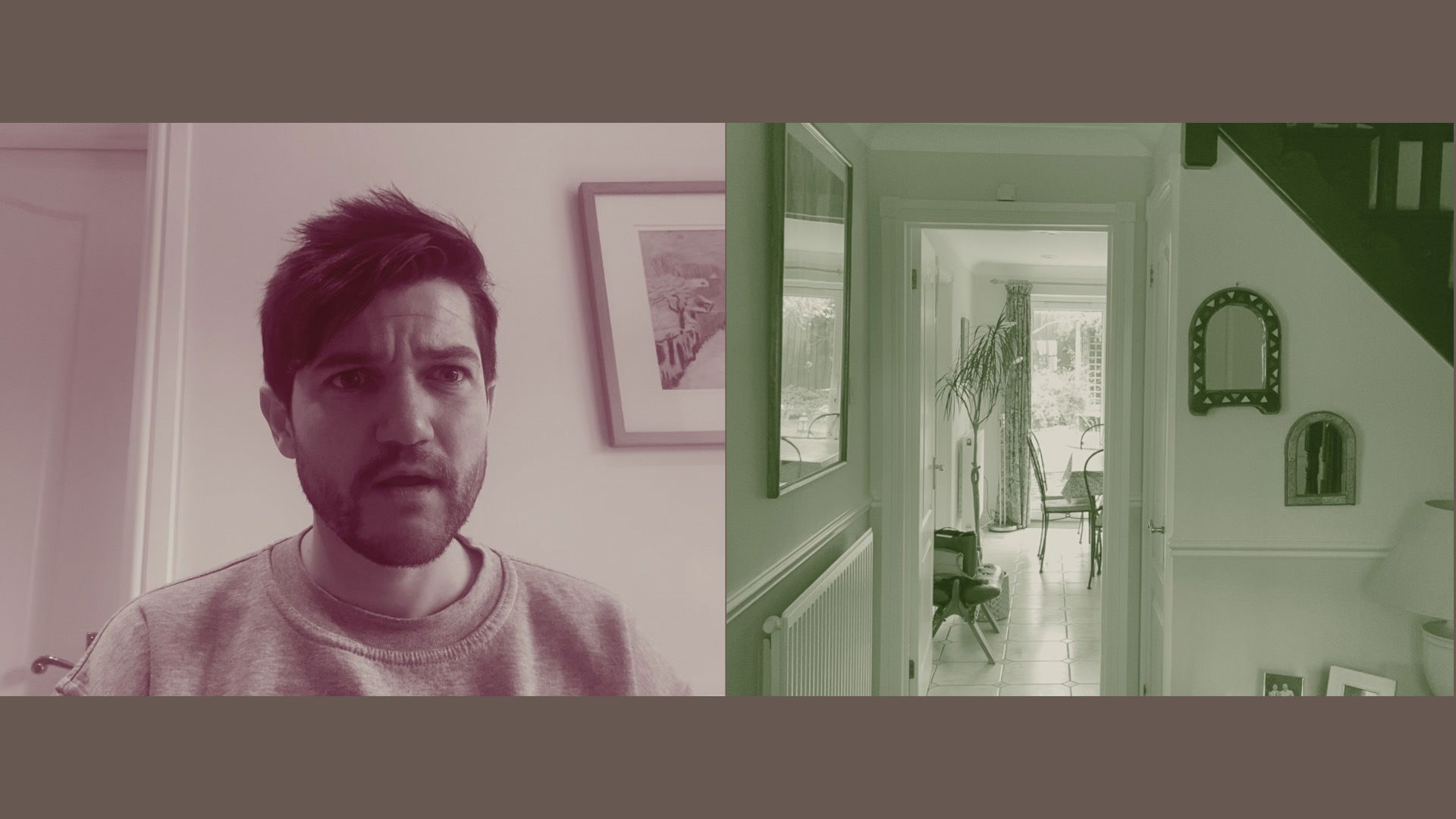 Joseph Aldous Wild Geese 3