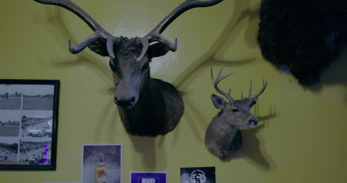 Mandy Smoker Harlem Montana 15