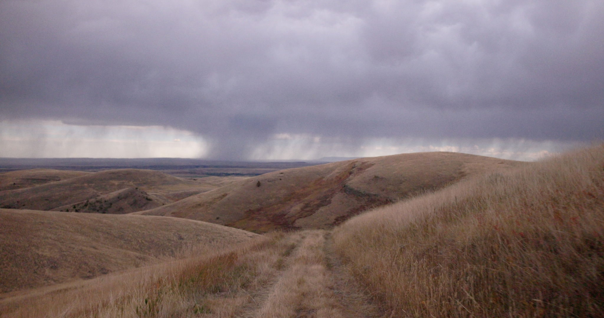 Peter Halstead Equinox 16 6