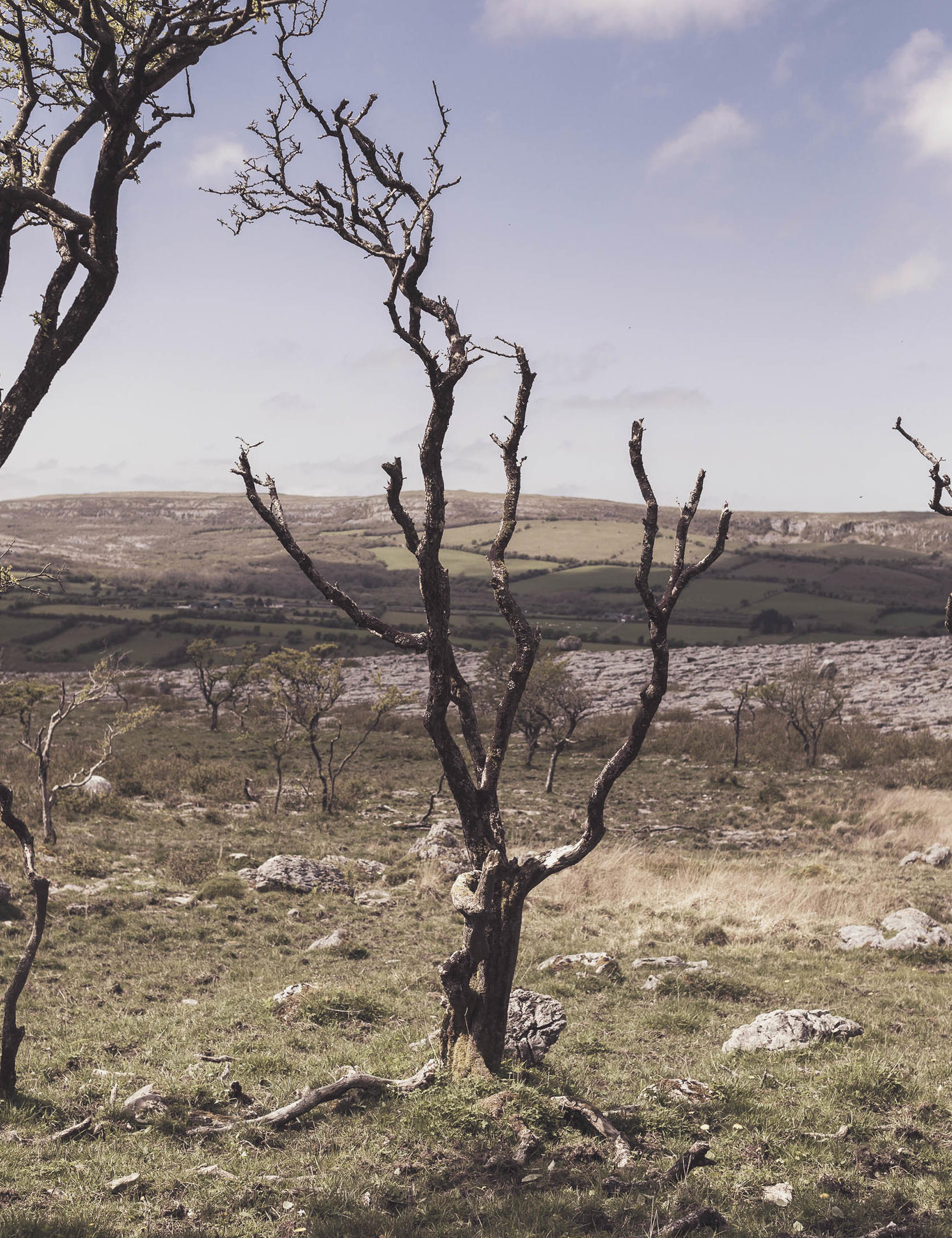 Cliffs of moher 7968