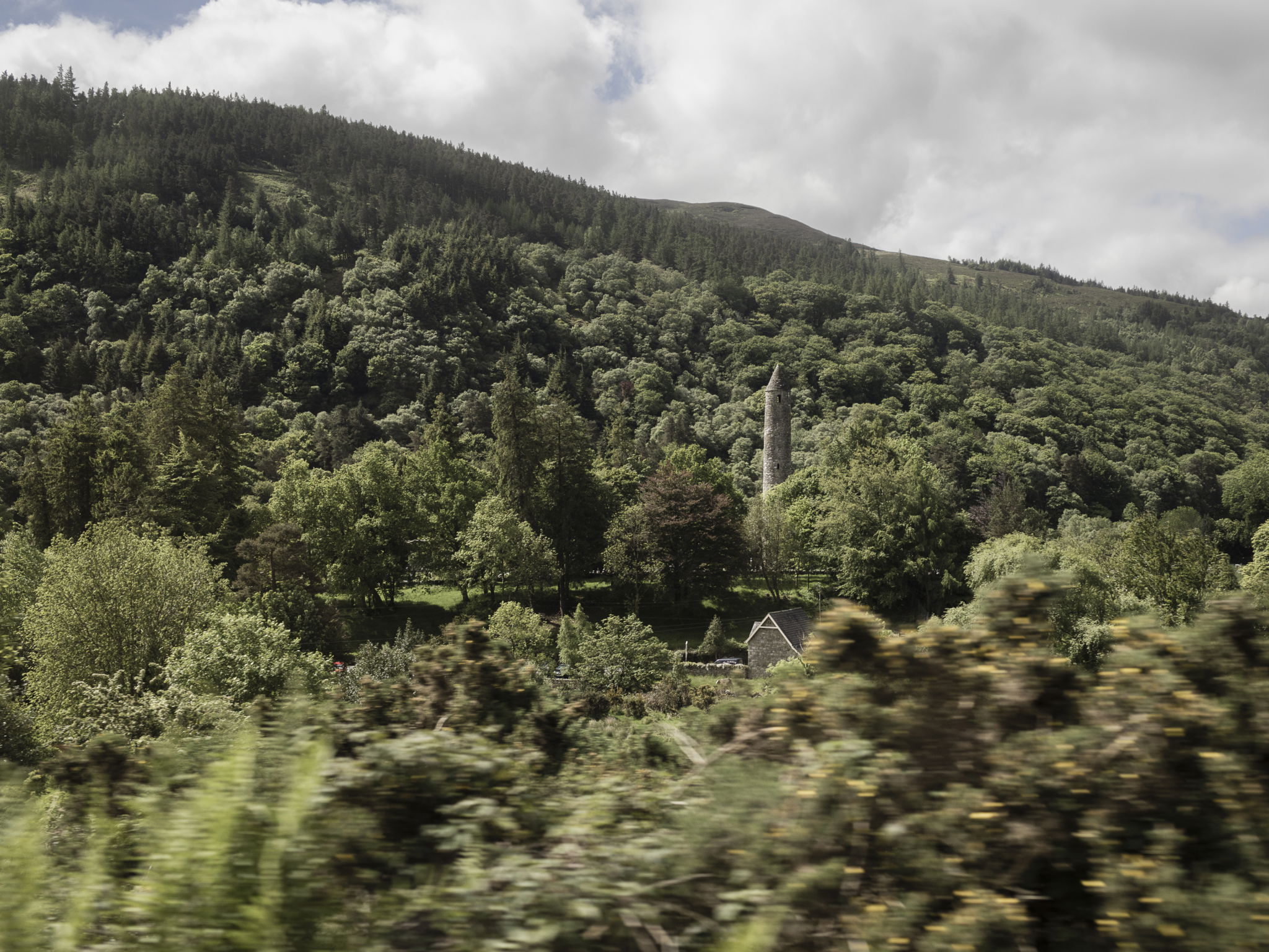 Matthew Thompson Cartoon Saloon 5428