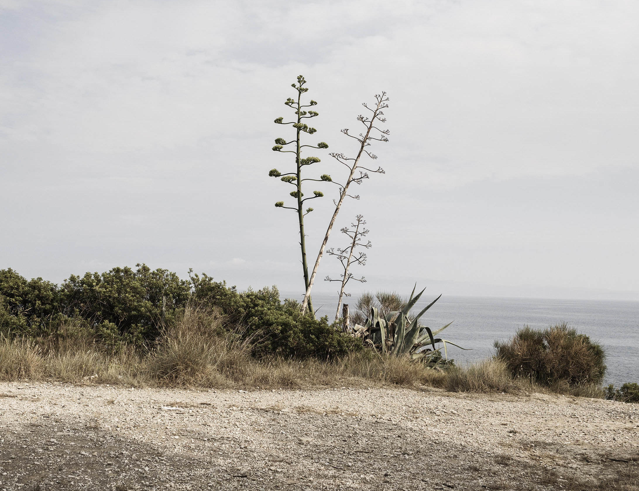 Matthew Thompson Croatia 9017