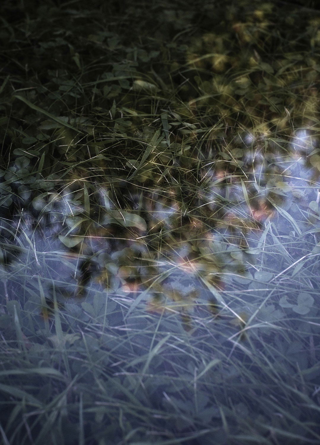 Adrian Brinkerhoff Matthew Thompson 213