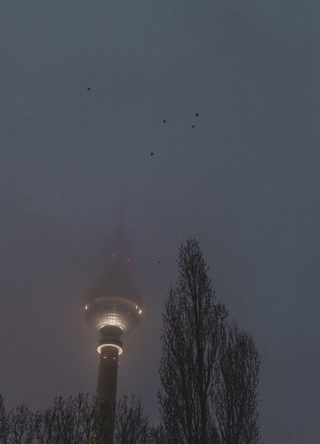 Adrian Brinkerhoff Matthew Thompson 222