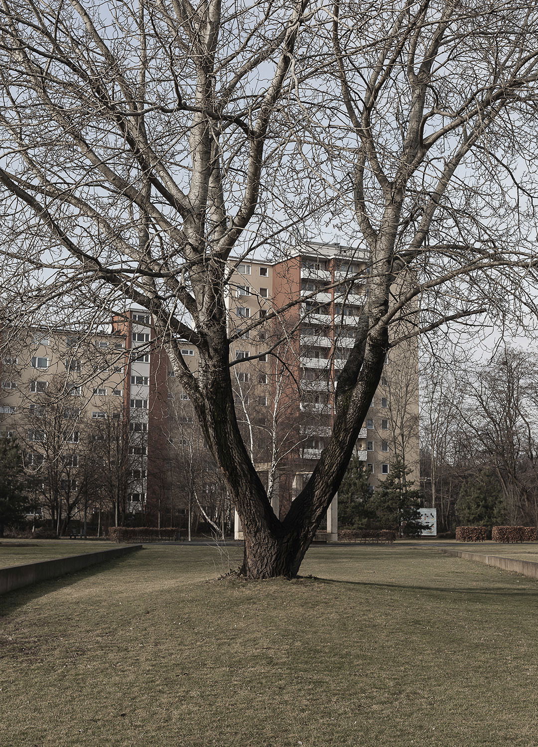 Adrian Brinkerhoff Matthew Thompson 223