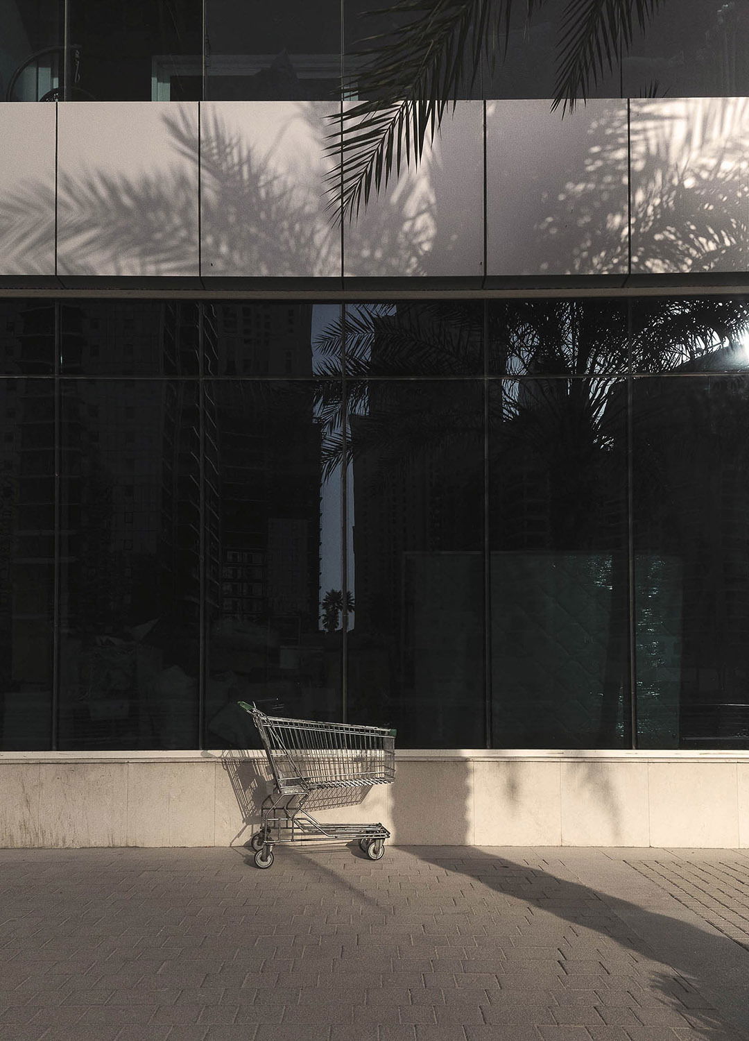 Adrian Brinkerhoff Matthew Thompson 231