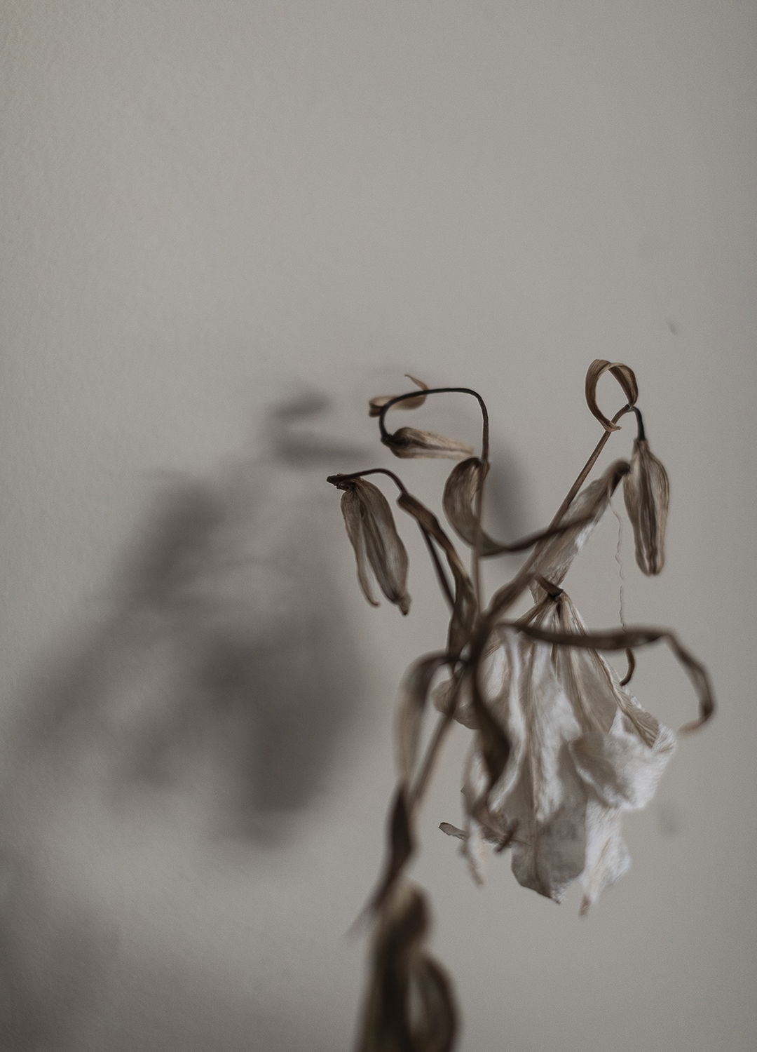 Adrian Brinkerhoff Matthew Thompson 234