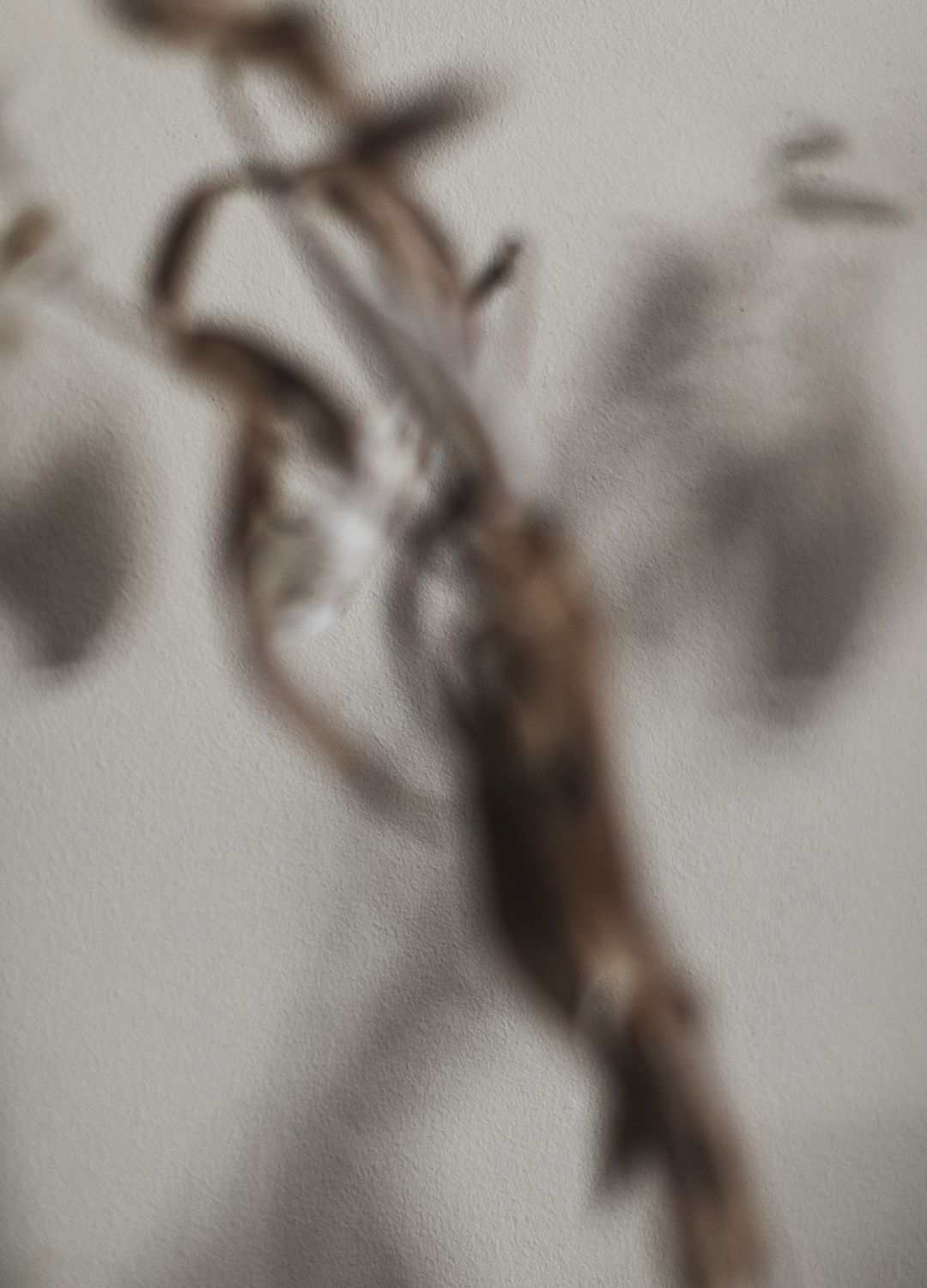 Adrian Brinkerhoff Matthew Thompson 235