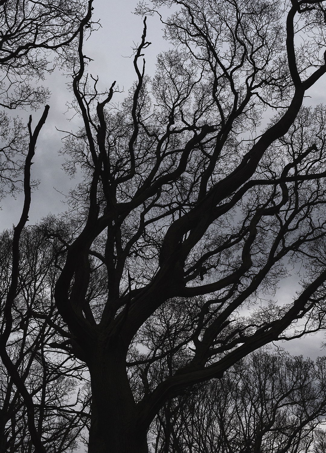 Adrian Brinkerhoff Matthew Thompson 236