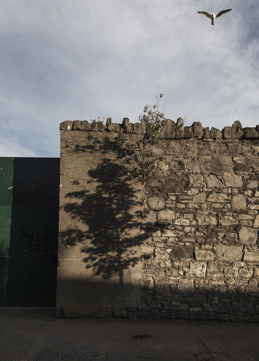 Adrian Brinkerhoff Matthew Thompson 238