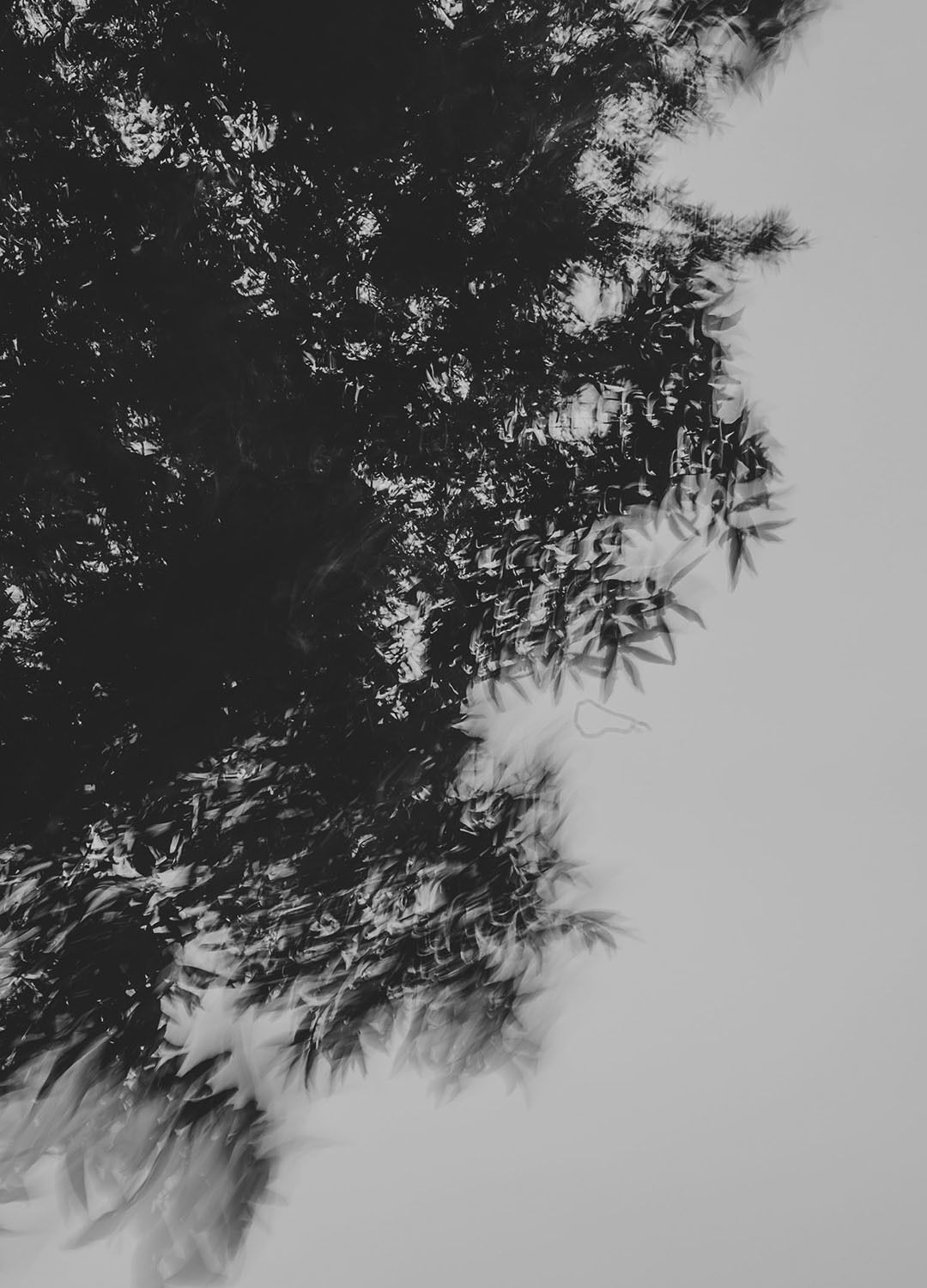 Adrian Brinkerhoff Matthew Thompson 240