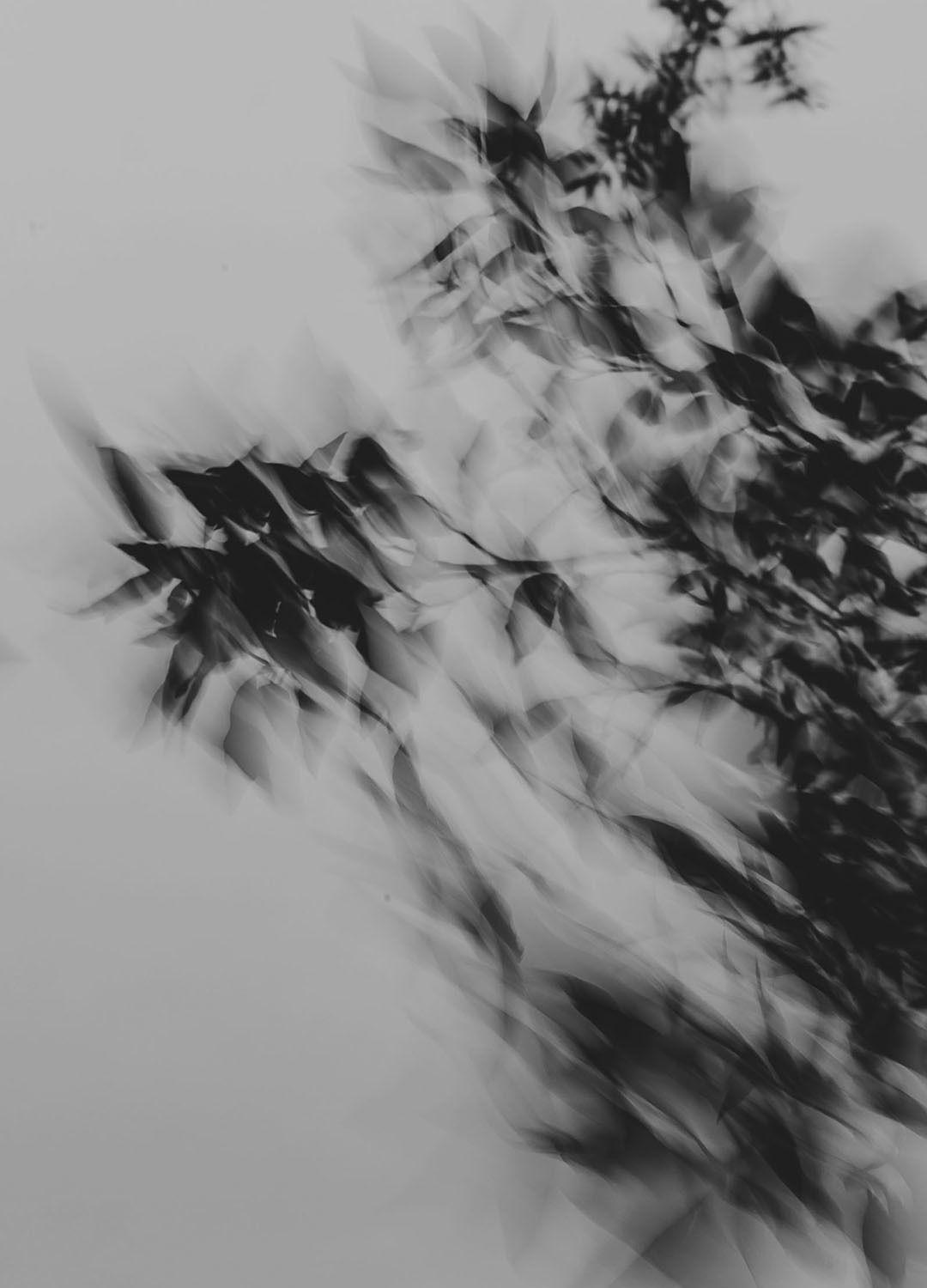 Adrian Brinkerhoff Matthew Thompson 241