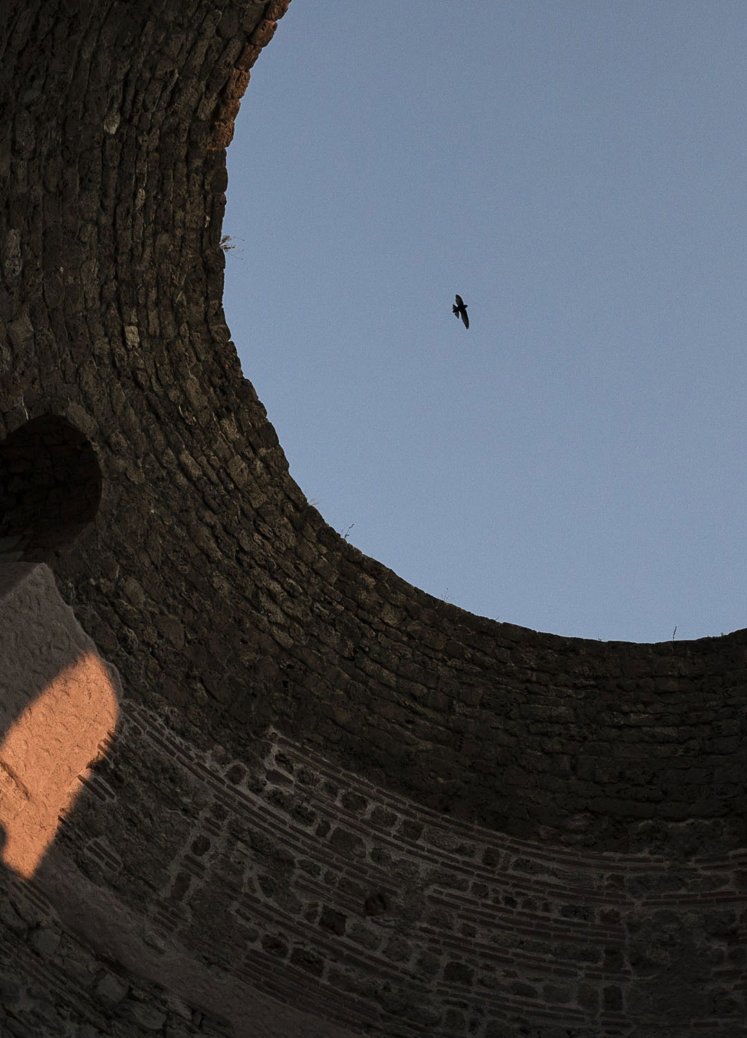 Adrian Brinkerhoff Matthew Thompson 243