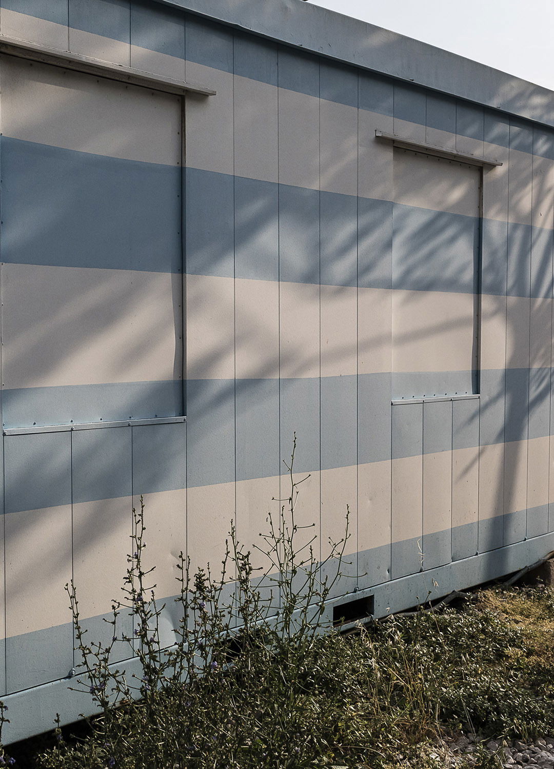 Adrian Brinkerhoff Matthew Thompson 247