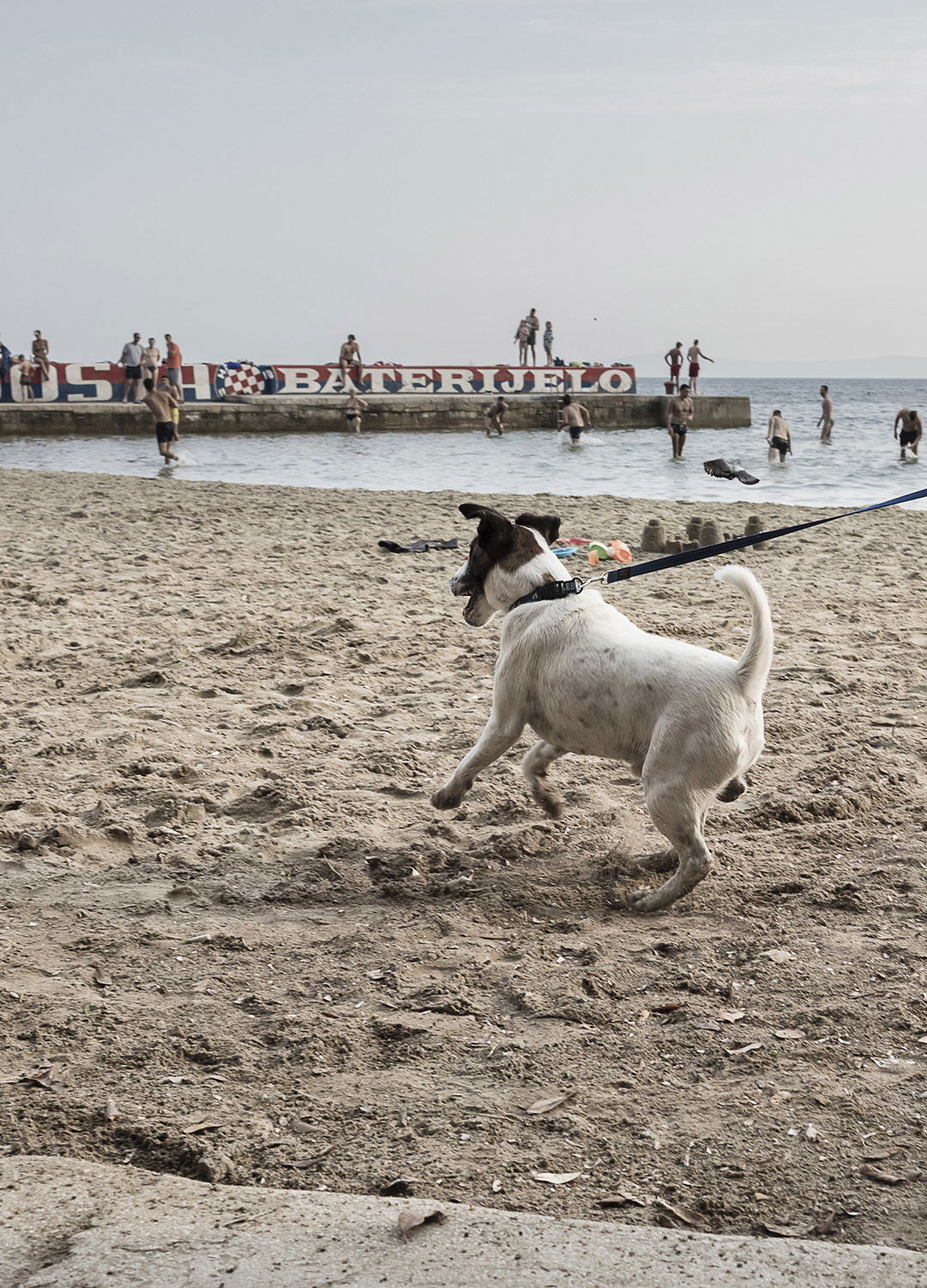 Adrian Brinkerhoff Matthew Thompson 248