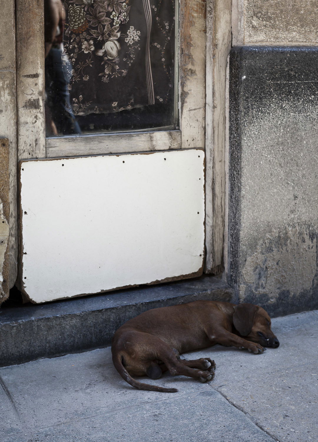 Adrian Brinkerhoff Matthew Thompson 253