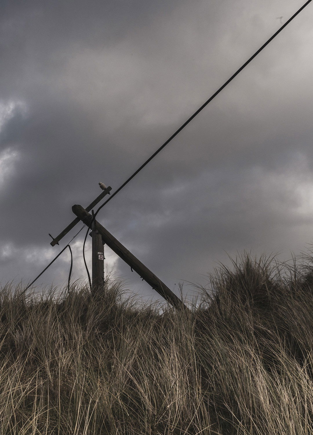 Adrian Brinkerhoff Matthew Thompson 258