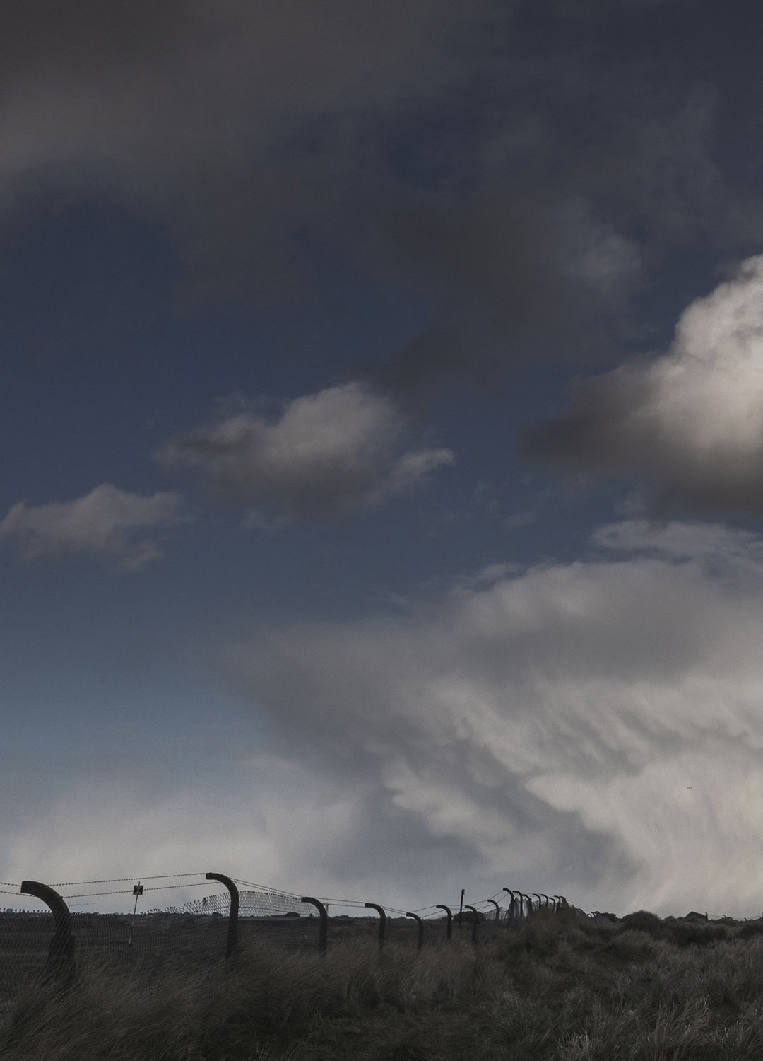 Adrian Brinkerhoff Matthew Thompson 259