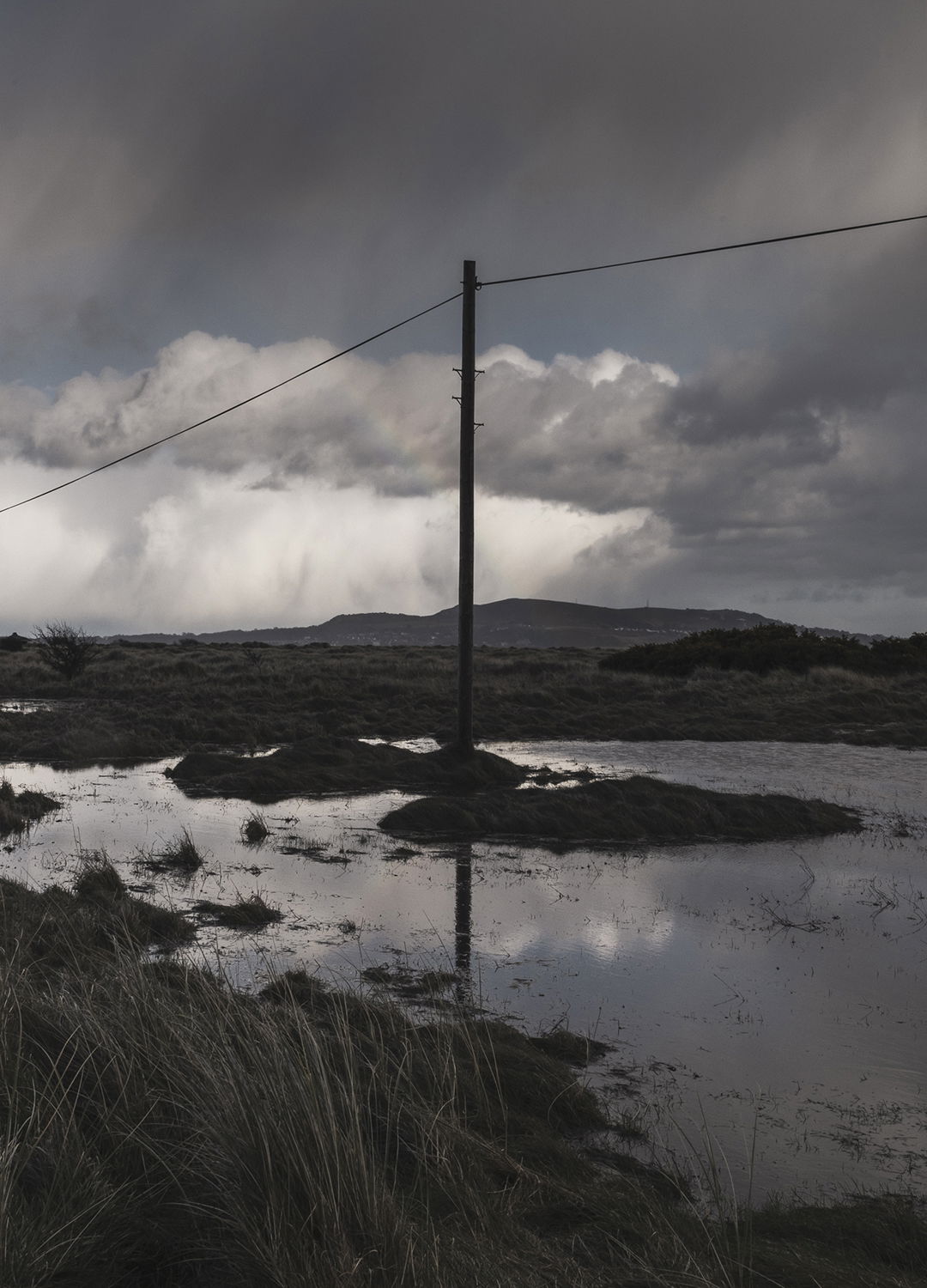 Adrian Brinkerhoff Matthew Thompson 260