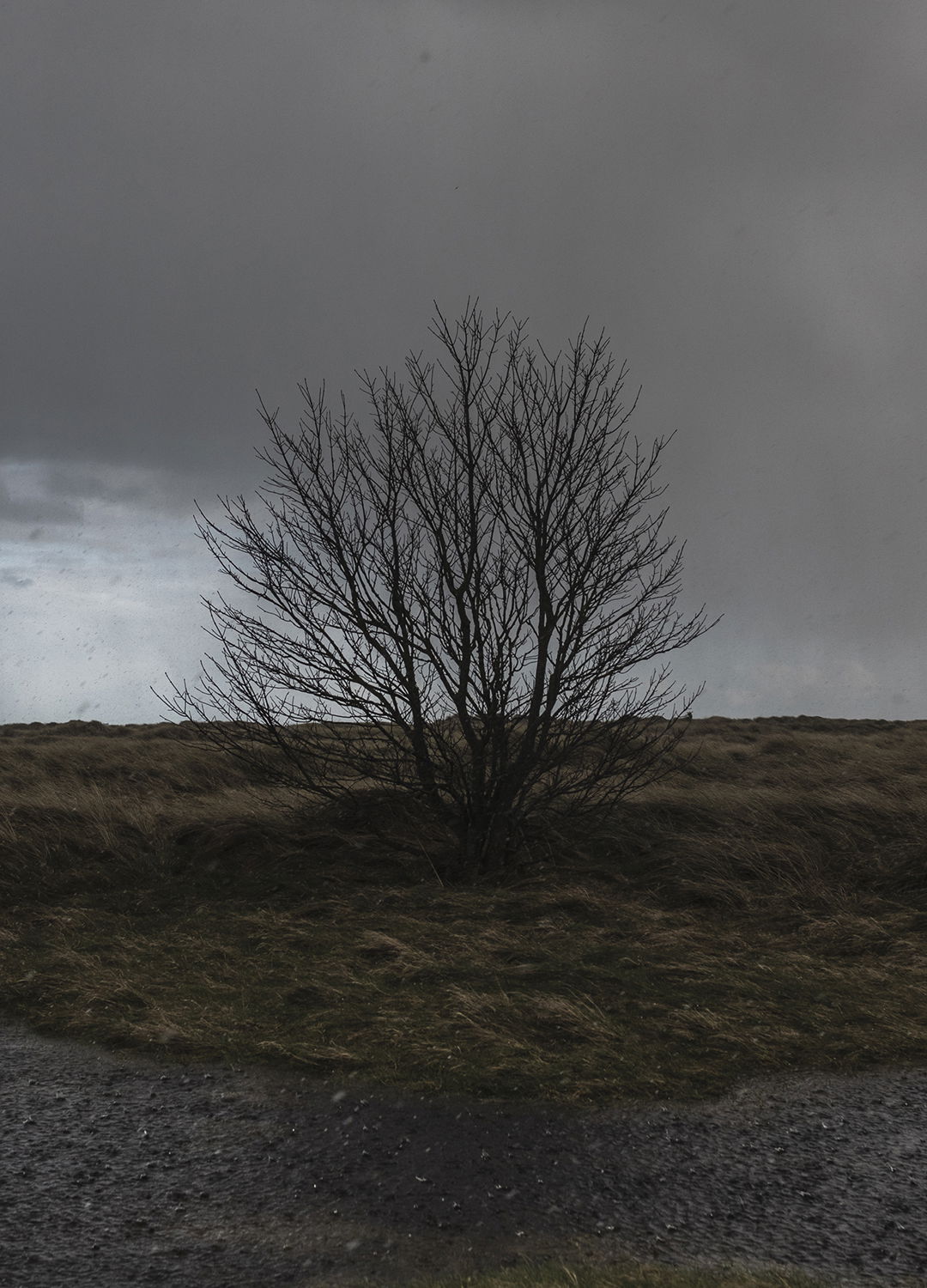 Adrian Brinkerhoff Matthew Thompson 261