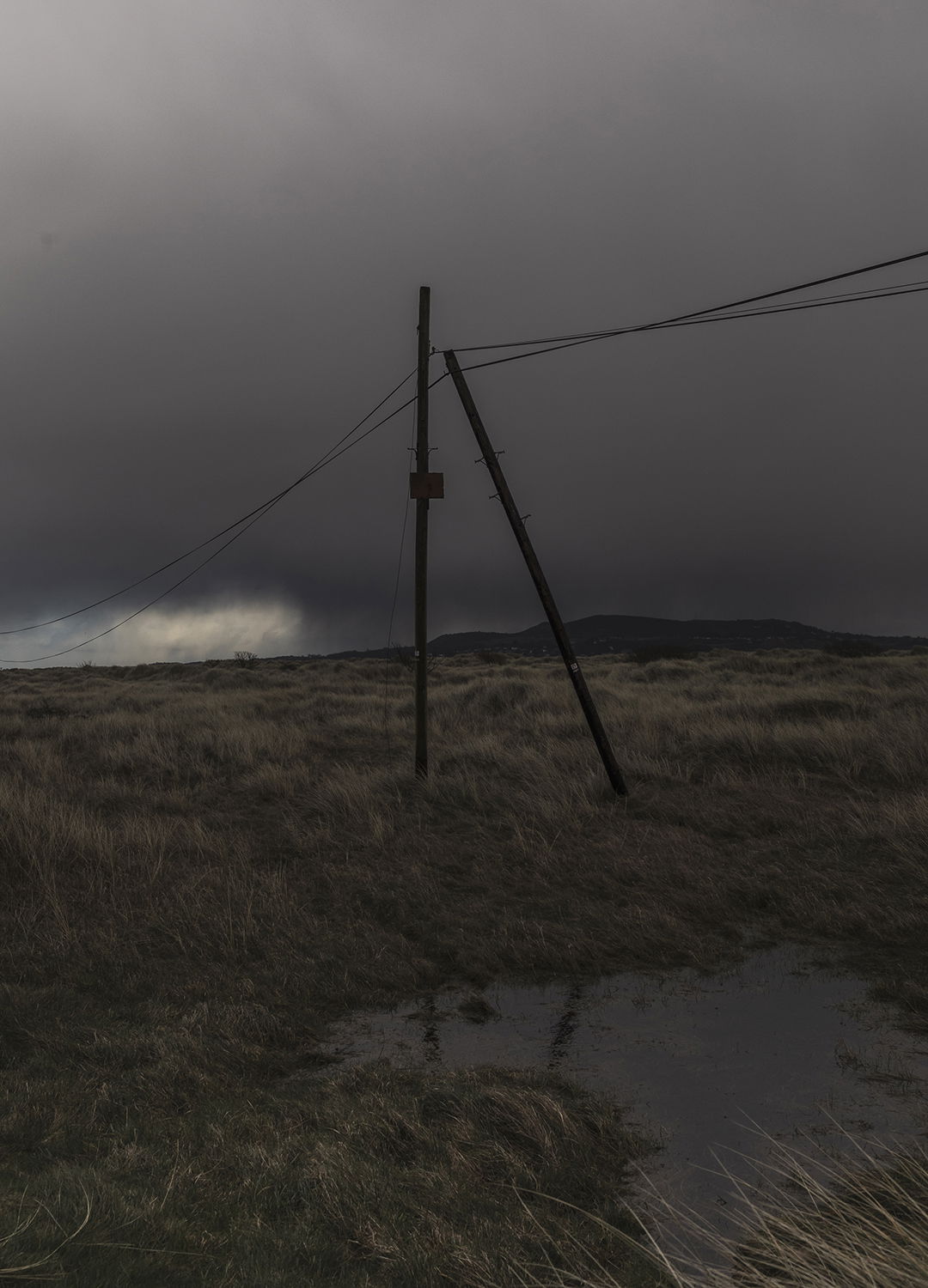 Adrian Brinkerhoff Matthew Thompson 262