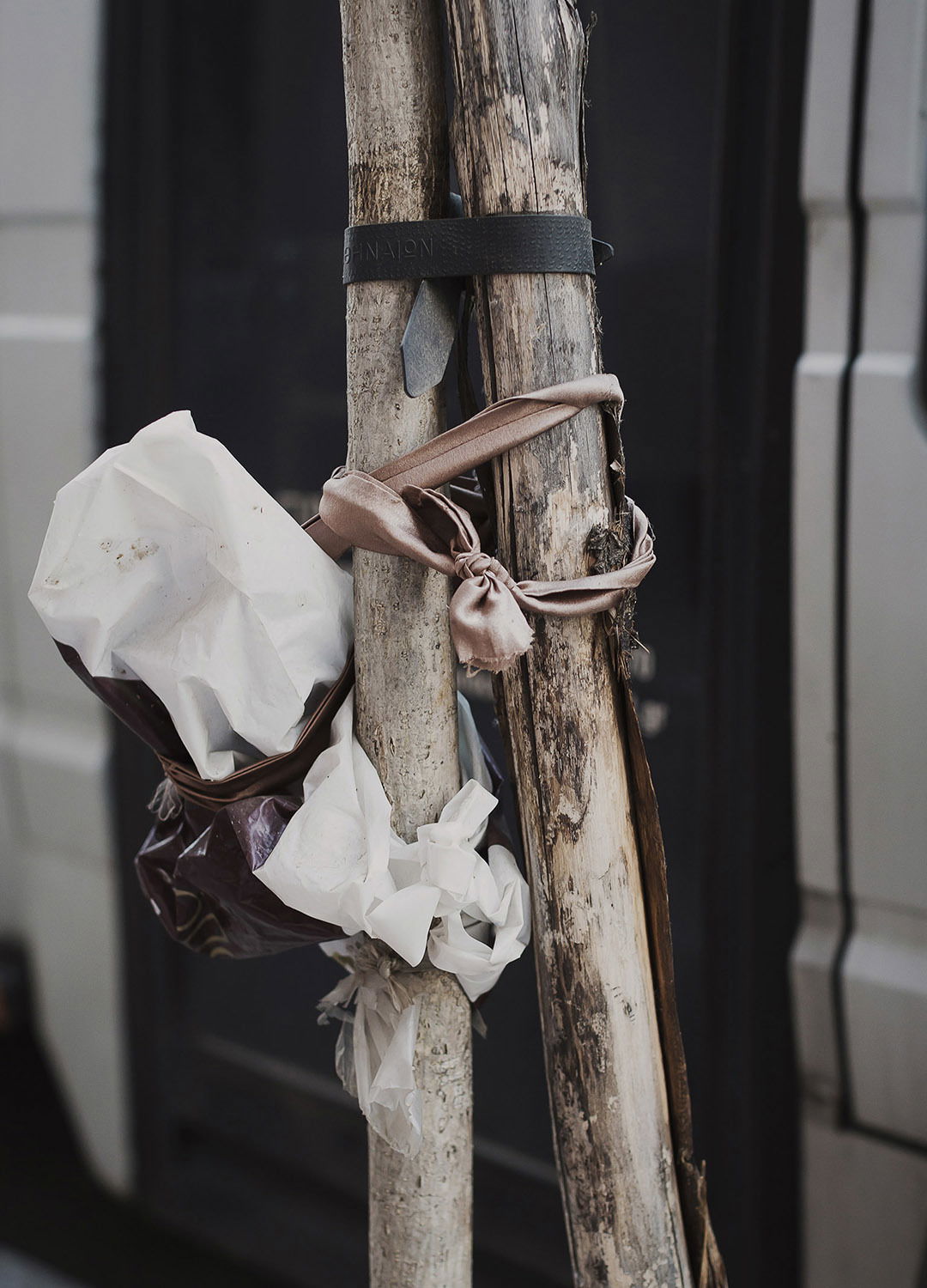 Adrian Brinkerhoff Matthew Thompson 265